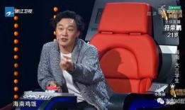 詹小胖爆料刘磊视频播放,真相与争议并存