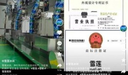 雪莲爆料视频在线观看,揭秘幕后真相，带你走进事件核心